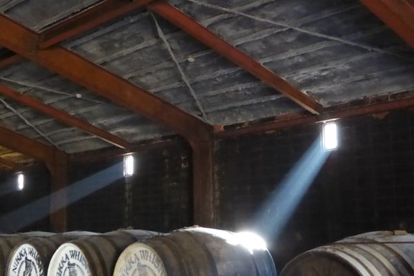 Sunbeams falling on oak casks in a dark warehouse