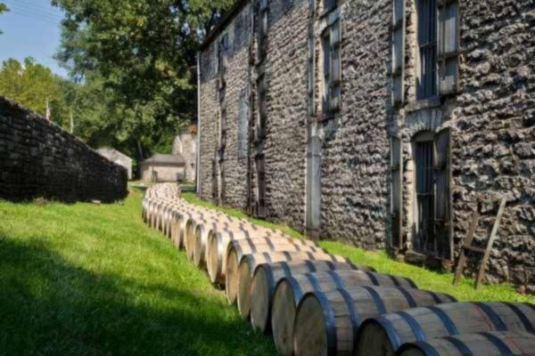 Bourbon barrels lined up on the grass beside a stone warehouse at Woodford Reserve, Kentucky