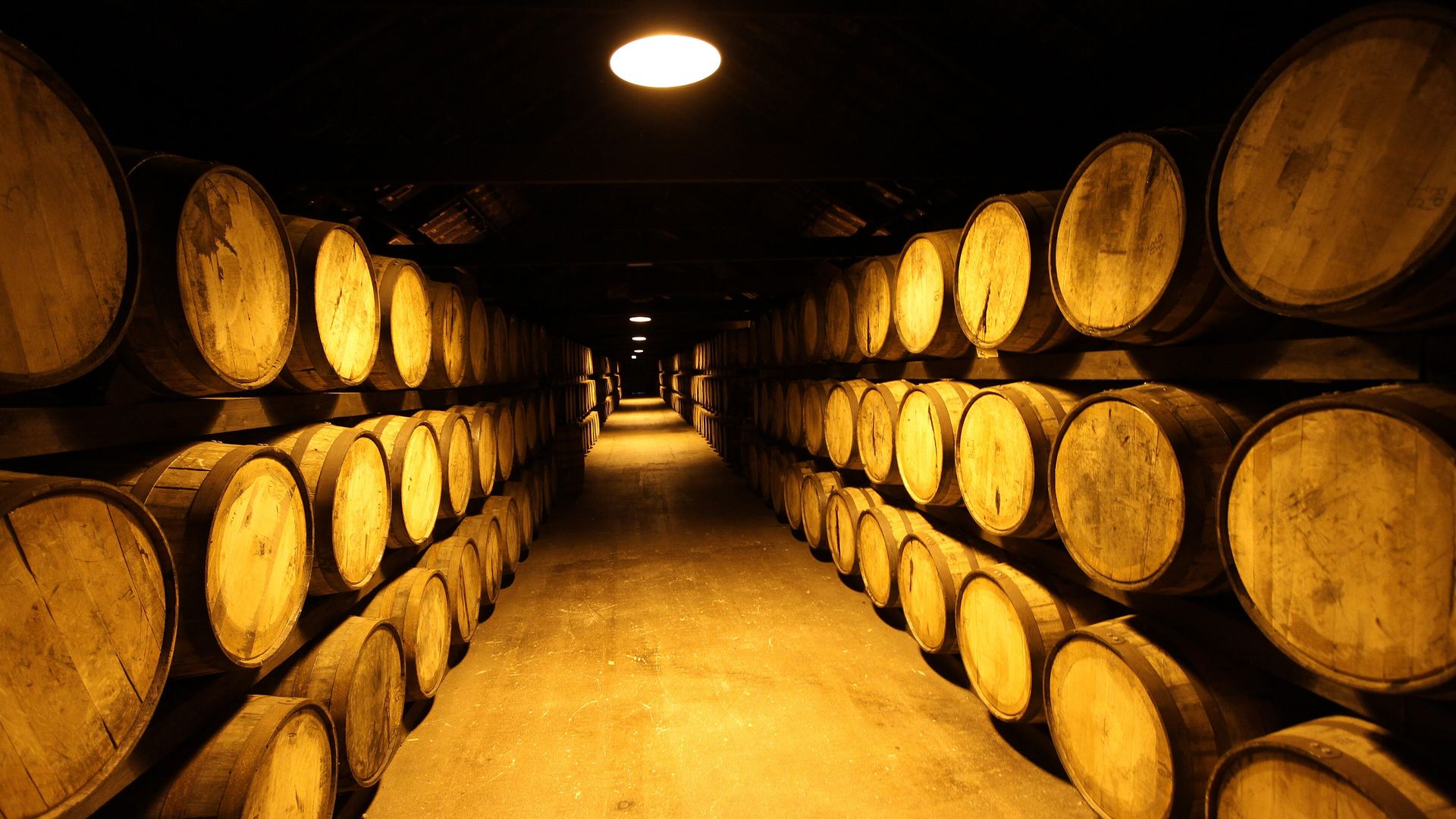 Long aisle of oak casks in a maturation warehouse, where all types of whisky gain their colour and flavour